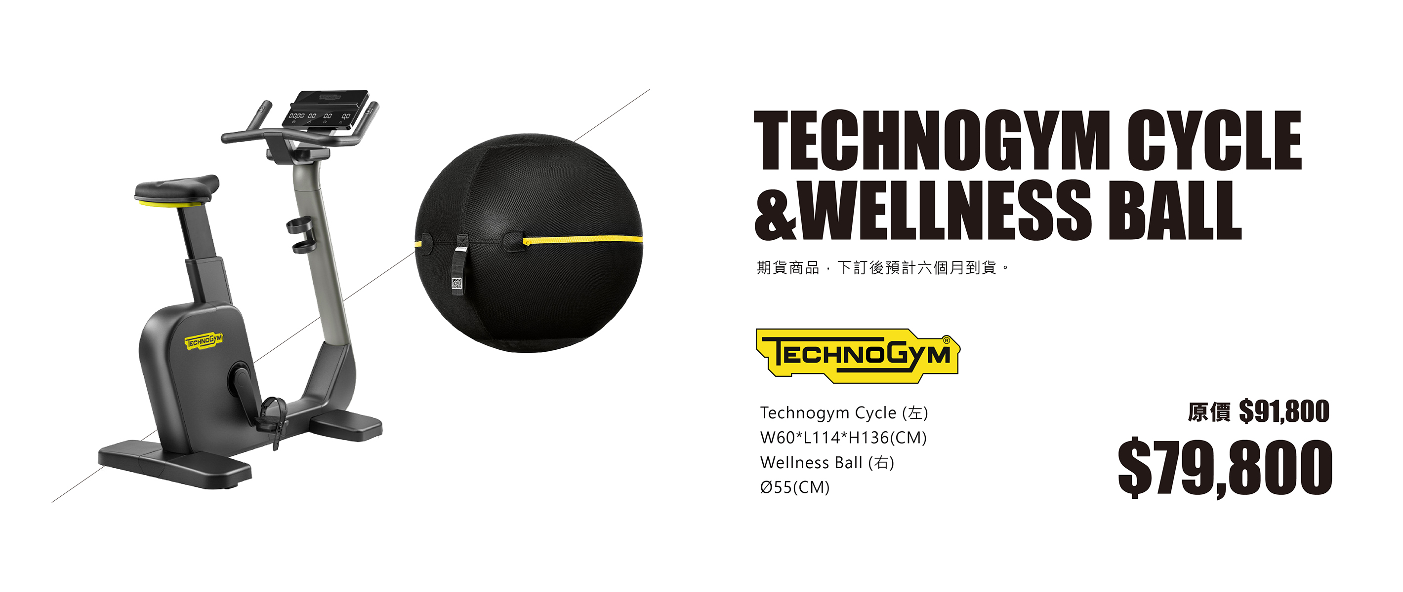 Technogym Cycle + Wellness Ball